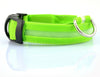Houbli LED Hundehalsband – Sicher & Sichtbar bei Nacht