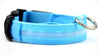 Houbli LED Hundehalsband – Sicher & Sichtbar bei Nacht