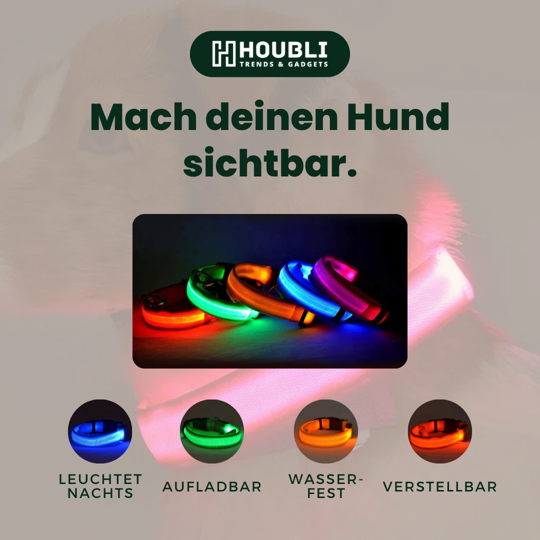 Houbli LED Hundehalsband – Sicher & Sichtbar bei Nacht
