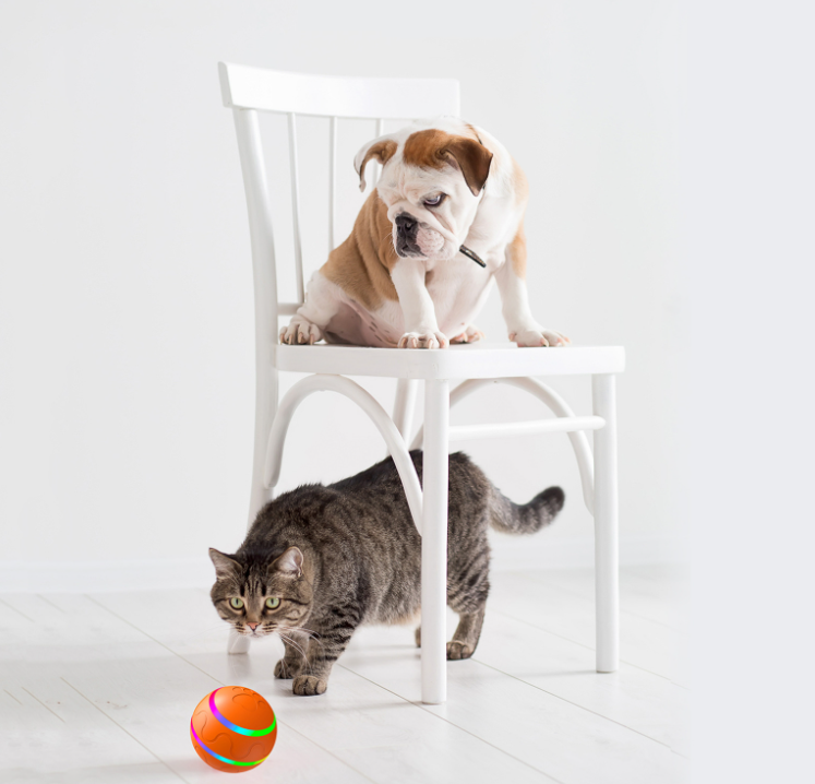 Houbli - Selbstbewegender Katzen & Hunde Spielball