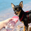Houbli - Tragbare Wasserflasche